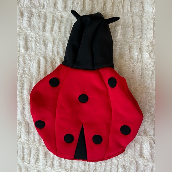 Zara Ladybug Costume 2T - Picture 7 of 8